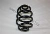 AUTOMEGA 3004240003 Coil Spring